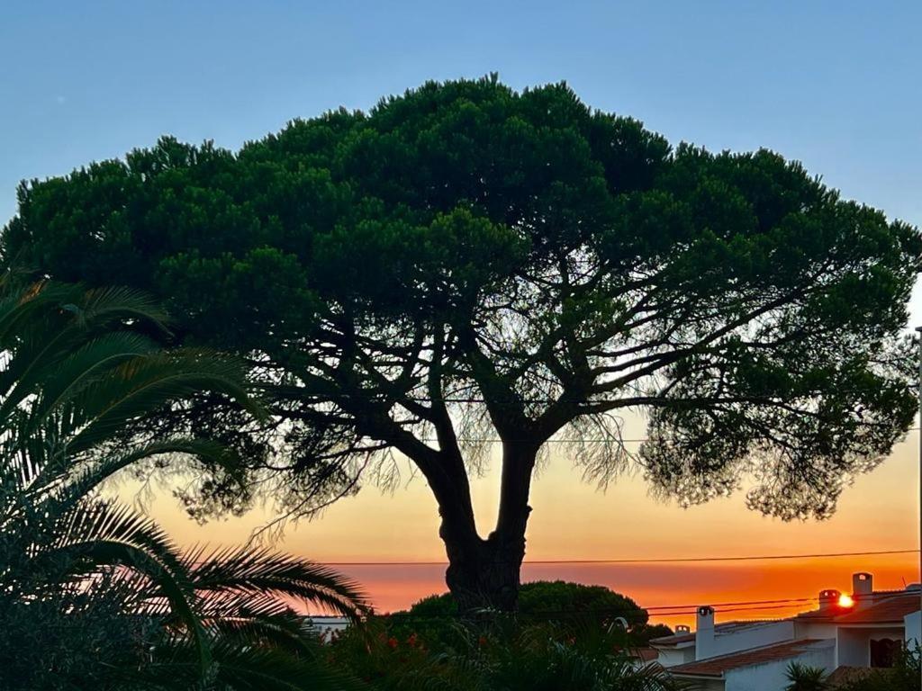 Vila De Sol Sesimbra Bagian luar foto