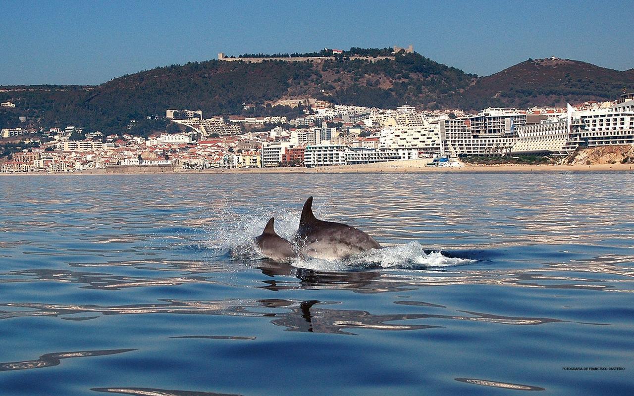 Vila De Sol Sesimbra Bagian luar foto